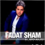 دانلود آهنگ علی عبدالمالکی فدات شم - 