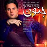 دانلود آهنگ علی عبدالمالکی جنون - 