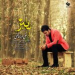 دانلود آهنگ علی عبدالمالکی پاییز - 