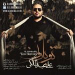 دانلود آهنگ علی عبدالمالکی تو بارون - 