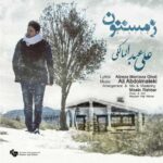دانلود آهنگ علی عبدالمالکی زمستون - 