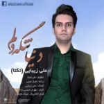 دانلود آهنگ علی زیبایی دنیا تنگه دلم - 
