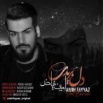 دانلود آهنگ امین فیاض دل بریدی - 