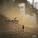 دانلود آهنگ امیر تاجیک در سوگ حبیب - 