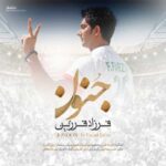 دانلود آهنگ فرزاد فرزین جنون - 