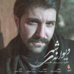 دانلود آهنگ حمید هیراد دیوانه ی شهر - 