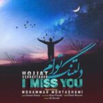 دانلود آهنگ حجت اشرف‌ زاده دلتنگ توام - 