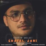 دانلود آهنگ کامران مولایی قاتل جانی - 