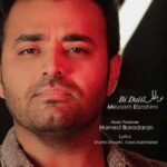 دانلود آهنگ میثم ابراهیمی بی دل - 