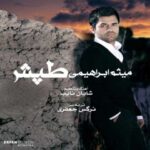 دانلود آهنگ میثم ابراهیمی طپش - 