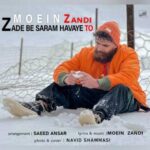 دانلود آهنگ معین زندی زده به سرم هوای تو - 