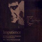 دانلود آهنگ محمدرضا شجریان بی حوصلگی - 