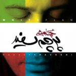 دانلود آهنگ محسن چاوشی بگو مگو - 