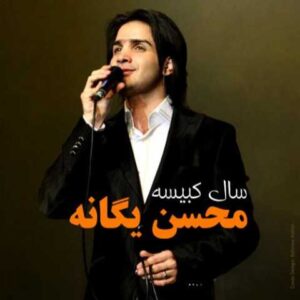حامد هاکان