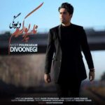 دانلود آهنگ ناصر پورکرم دیوونگی - 