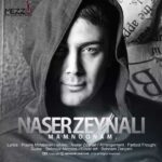 دانلود آهنگ ناصر زینعلی ممنونم - 