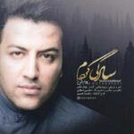 دانلود آهنگ پویا بیاتی سادگی کردم - 