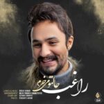 دانلود آهنگ راغب حالتو میخرم - 