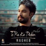 دانلود آهنگ راغب تو را که دیدم - 