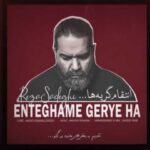 دانلود آهنگ رضا صادقی انتقام گریه ها - 