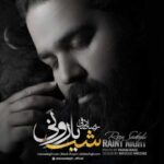 دانلود آهنگ رضا صادقی شب بارونی - 