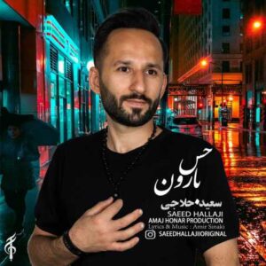 سعید حلاجی