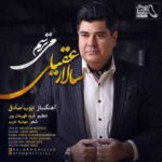دانلود آهنگ سالار عقیلی میترسم - 