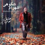 دانلود آهنگ شهرام شکوهی انگیزه - 