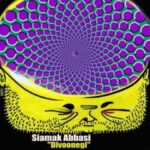 دانلود آهنگ سیامک عباسی دیوونگی - 
