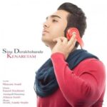 دانلود آهنگ سینا درخشنده کنارتم - 