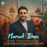 دانلود آهنگ سینا درخشنده نمک داری - 