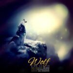 دانلود آهنگ سینا سرلک گرگ - 
