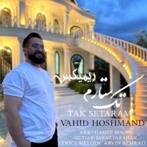 وحید هوشمند