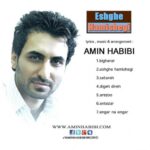 دانلود آهنگ امین حبیبی انگار نه انگار - 