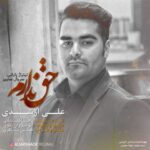 دانلود آهنگ علی ارشدی ندارم - 
