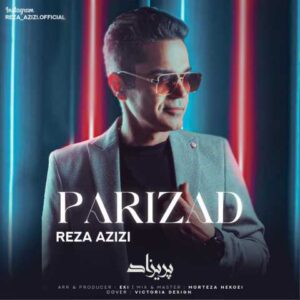 رضا عزیزی