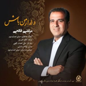 مرتضی فاتحی