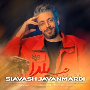 سیاوش جوانمردی