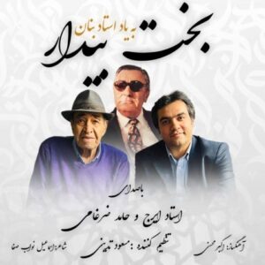 حامد ضرغامی