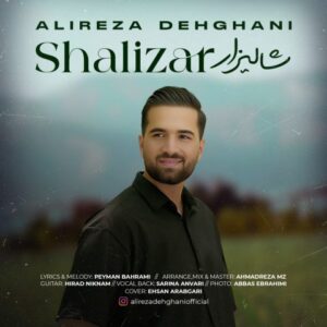 علیرضا دهقانی