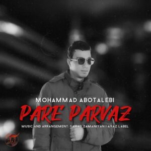 محمد ابوطالبی