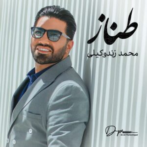 محمد زندوکیلی