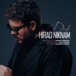دانلود آهنگ هیراد نیکنام دیدی - 