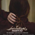 دانلود آهنگ مهیاد یه شهرو قشنگ میکنی