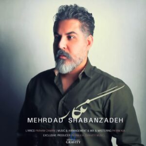 مهرداد شعبان زاده