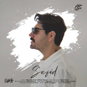 میلاد بابایی