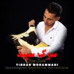 دانلود آهنگ تیرداد محمدی سوگ سپید - 
