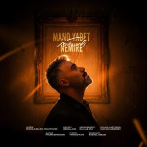 رضا آرمند