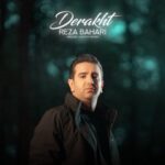 دانلود آهنگ رضا بهاری درخت - 