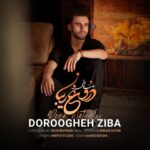 دانلود آهنگ رضا ناطقی دروغ زیبا - 
